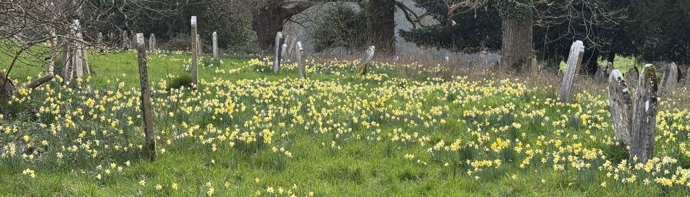 Mothering Sunday Blog